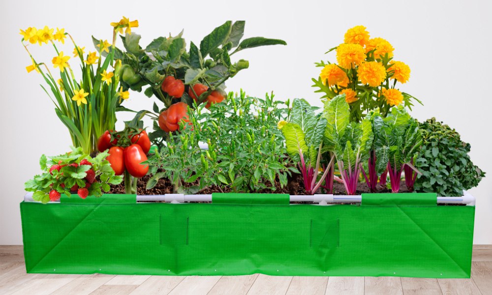 सपोर्ट स्टैंड रेक्टेंगुलर ग्रो बैग क्या हैं जानिए इसके फायदे - Best Support Stand Rectangle Grow Bags For Gardening In Hindi
